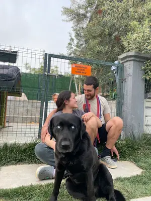Han Köpek Oteli