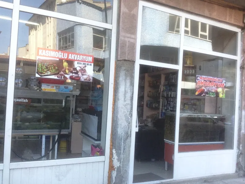 KASIMOĞLU AKVARYUM foto 1