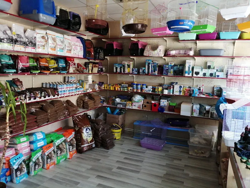 Güler Petshop foto 2