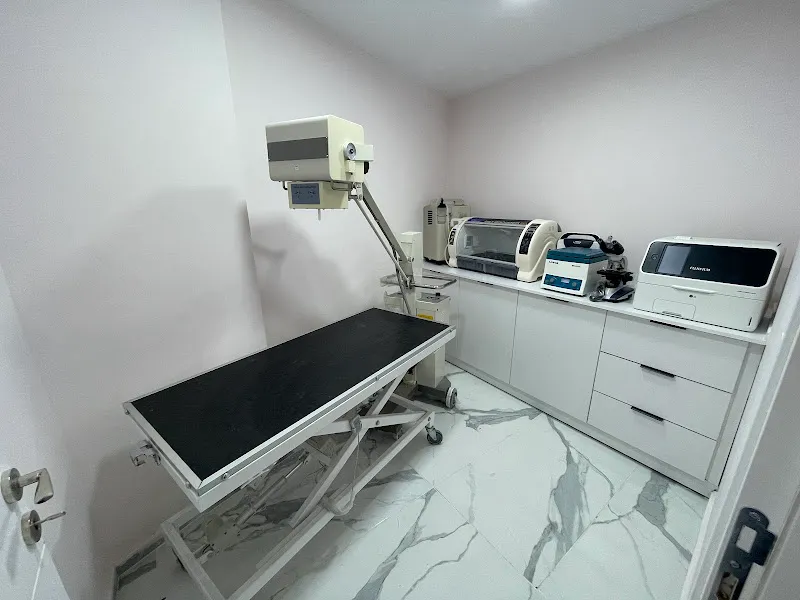 Clinic Magnesia Veteriner Muayenehanesi foto 2