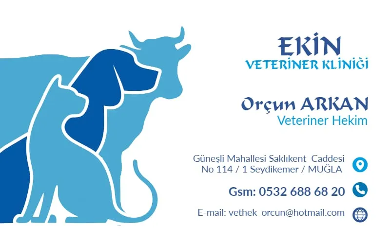 Ekin Veteriner Kliniği foto 2