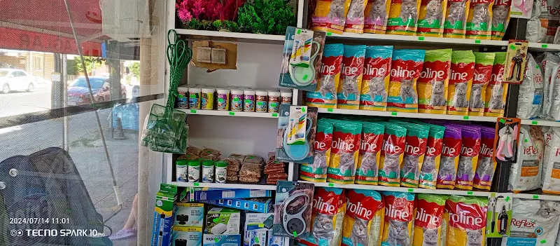 74bilgin petshop 2 foto 2