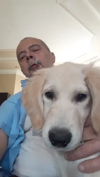 Onur Veteriner Kliniği foto 2