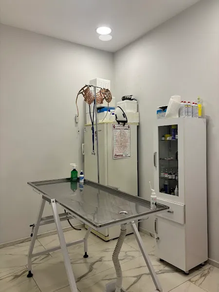 VetBT Veterinerlik foto 2