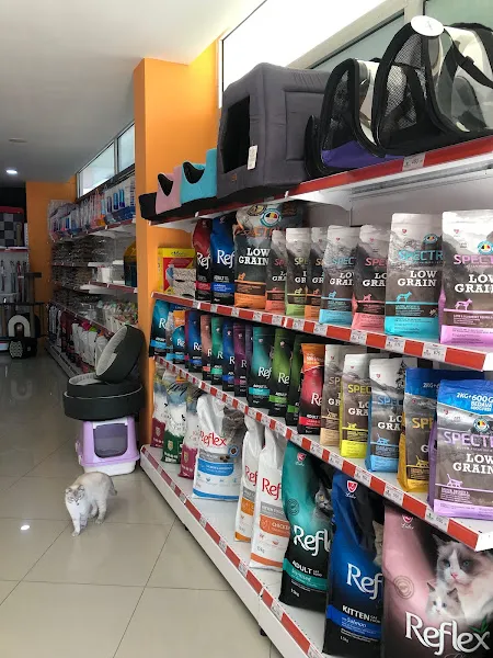 Badi Petshop foto 2