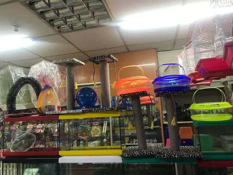 Uşak Casper Petshop foto 1