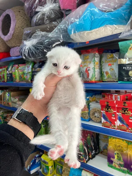 Uşak Casper Petshop foto 2