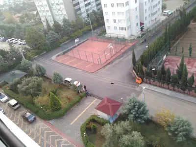 Kedi oteli
