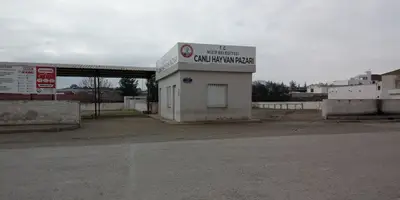 Nizip Hayvan Barınağı