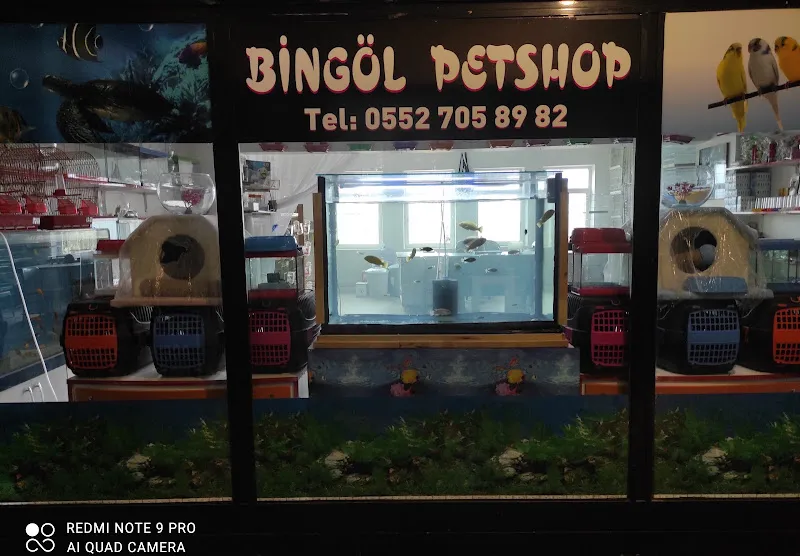 Bingöl petshop foto 1