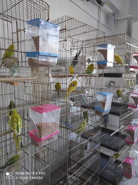 Bingöl petshop foto 2