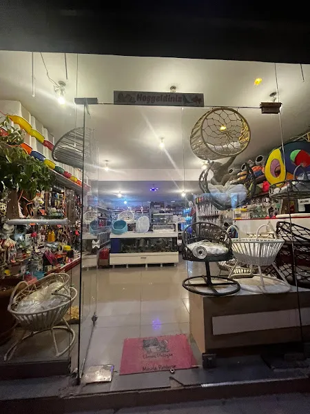 TEOMAN PET SHOP foto 2