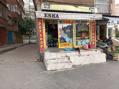ESKA PETSHOP KUS AKVARYUM CENNETİ