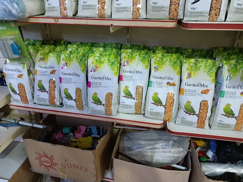 ESKA PETSHOP KUS AKVARYUM CENNETİ foto 2