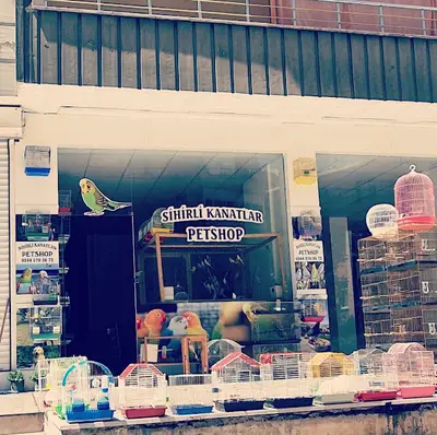Sihirli Kanatlar Petshop