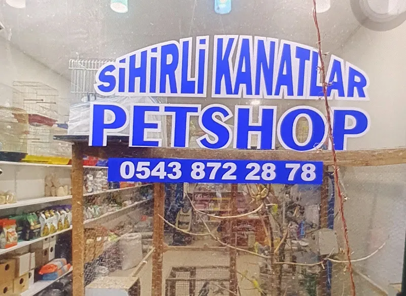 Sihirli Kanatlar Petshop foto 2