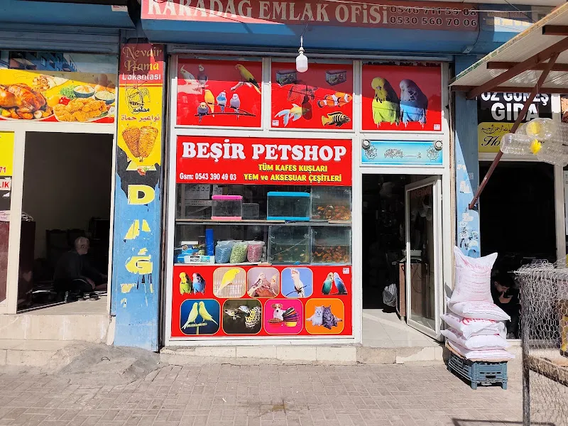 BEŞİR PETSHOP foto 1