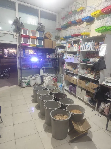 BEŞİR PETSHOP foto 2