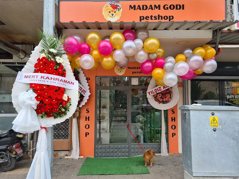 MADAM GODİ PETSHOP foto 1