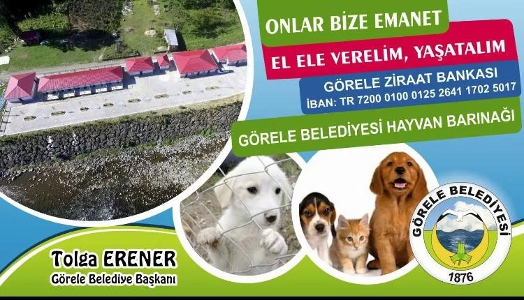 Görele Belediyesi Hayvan Barınağı foto 2