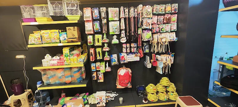 Umut Pet Shop foto 2