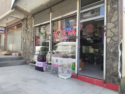 Florya Petshop