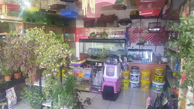 Florya Petshop foto 2