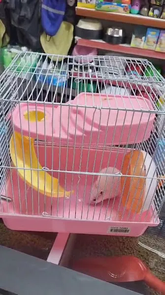 Neşeli petshop foto 2