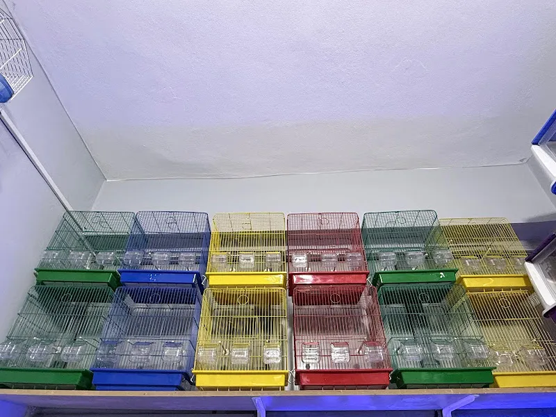 Neşeli Petshop foto 2