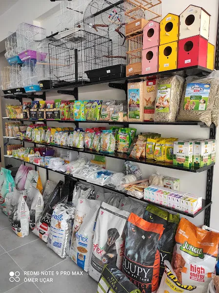EVCİL DOSTUM PETSHOP foto 2