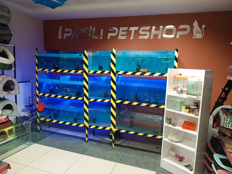PATİLİ PETSHOP foto 2