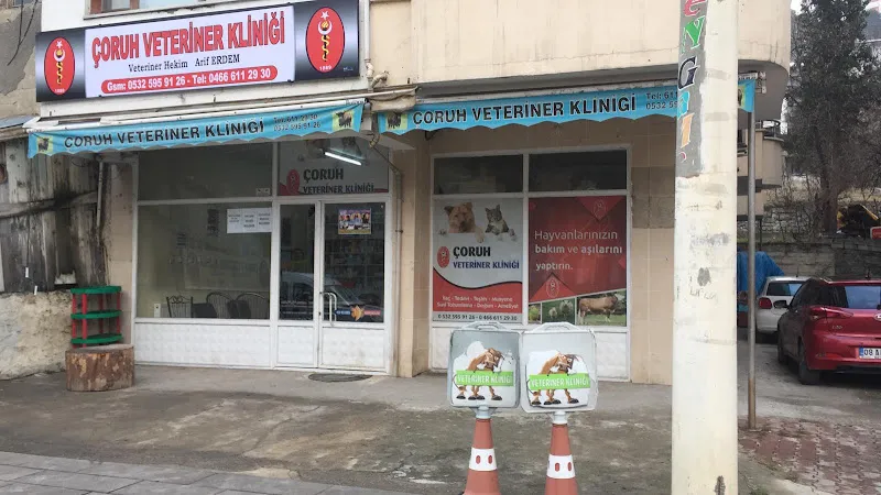 ÇORUH VETERİNER KLİNİĞİ foto 1