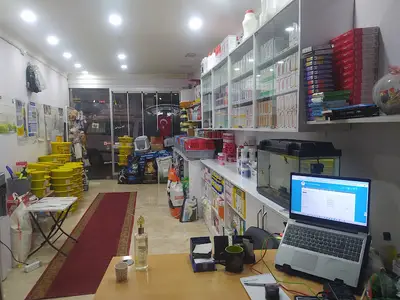 Yenişehir Yaşam Veteriner Kliniği fotoğrafı