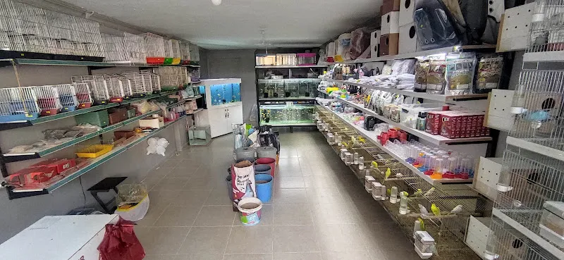 15 TEMMUZ PETSHOP ceylanpinar foto 2