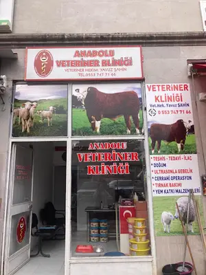 kadışehri canlı hayvan pazarı fotoğrafı