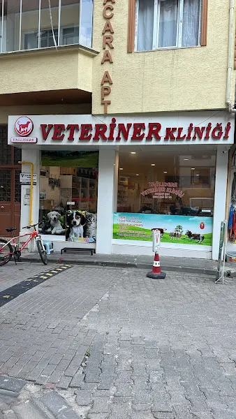 Yağlıdere Veteriner Kliniği foto 2
