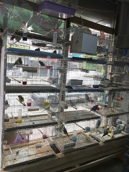 Tahsin İncirkuş Petshop İşletme foto 2