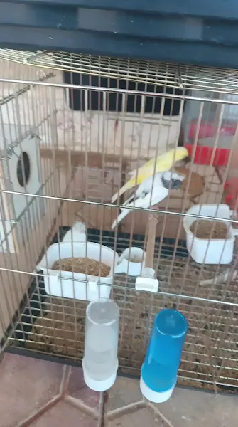 Hassa Eylül PETSHOP foto 2