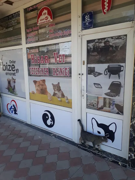 HİSARVET VETERİNER KLİNİĞİ foto 2