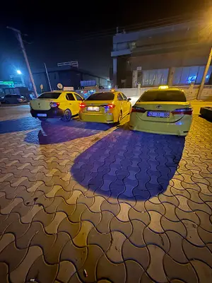 Konya pet taksi fotoğrafı