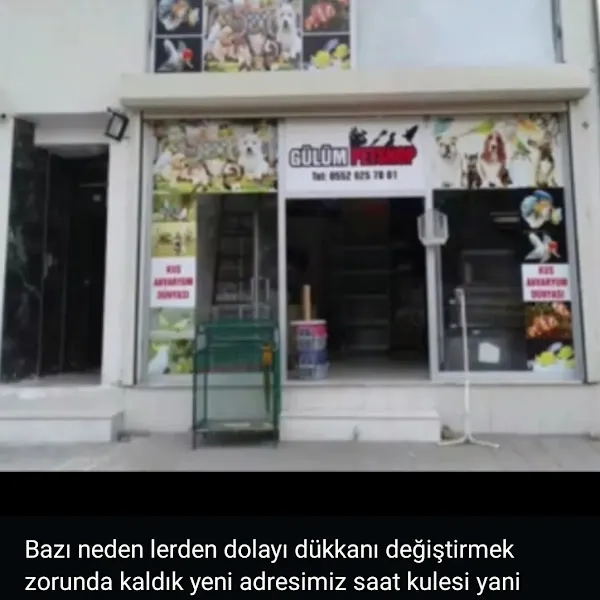 Gülüm petshop foto 1