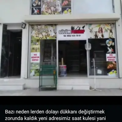 Safir Petshop
