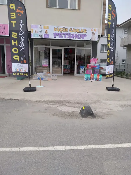 Küçük Canlar Petshop foto 1