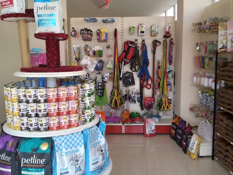 Küçük Canlar Petshop foto 2