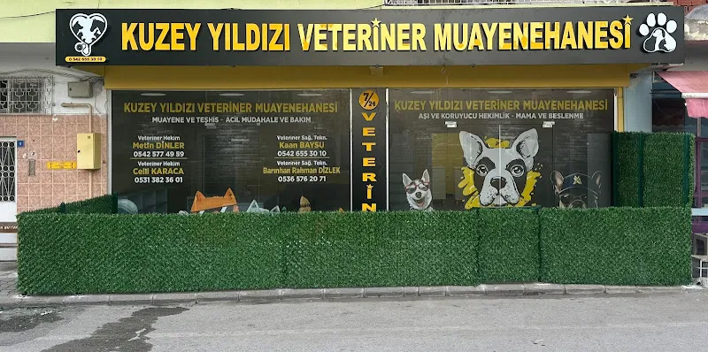 Kuzey Yıldızı Veteriner Muayenehanesi foto 1