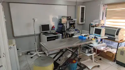Muhsin Dede Veteriner Kliniği