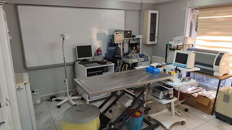 Muhsin Dede Veteriner Kliniği foto 1