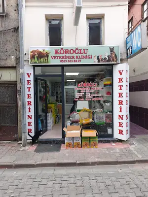 İNEBOLU KÖROĞLU VETERİNER KLİNİĞİ