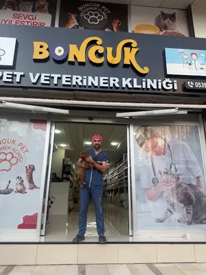 Budak veterinerlik