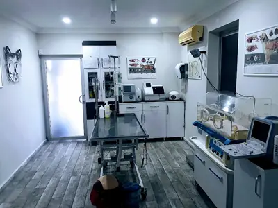 Hisar Veteriner Kliniği